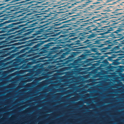 Wavelets